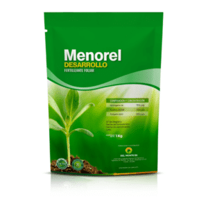 MENOREL DESARROLLO