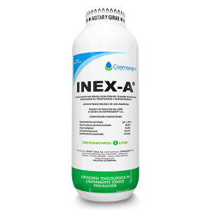 INEX CILINDRICO