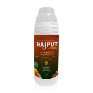 RAJPUT ENVASE
