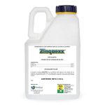 ZINQUEXX