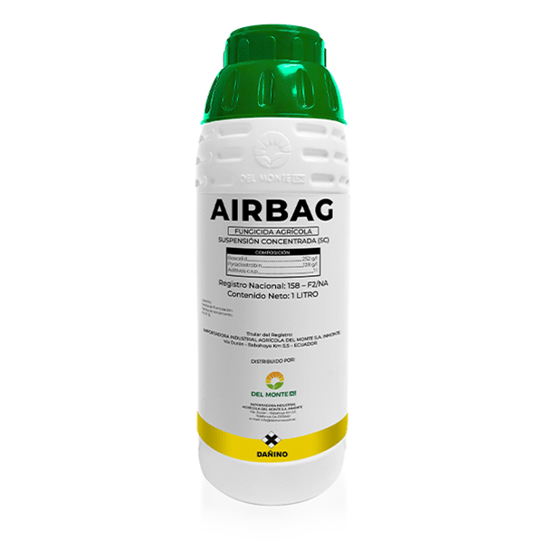 AIRBAG 