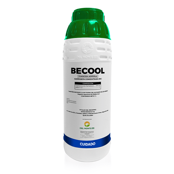 BECOOL