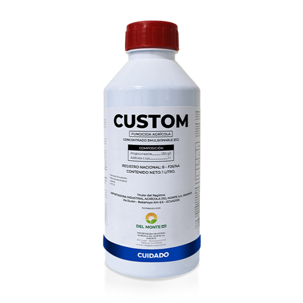 CUSTOM
