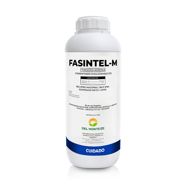 FASINTEL