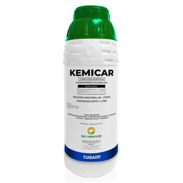 KEMICAR