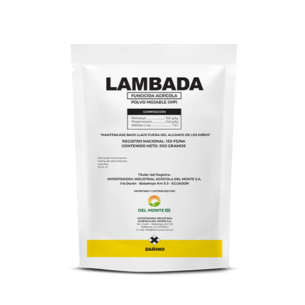 LAMBADA