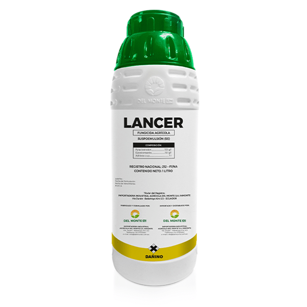 LANCER