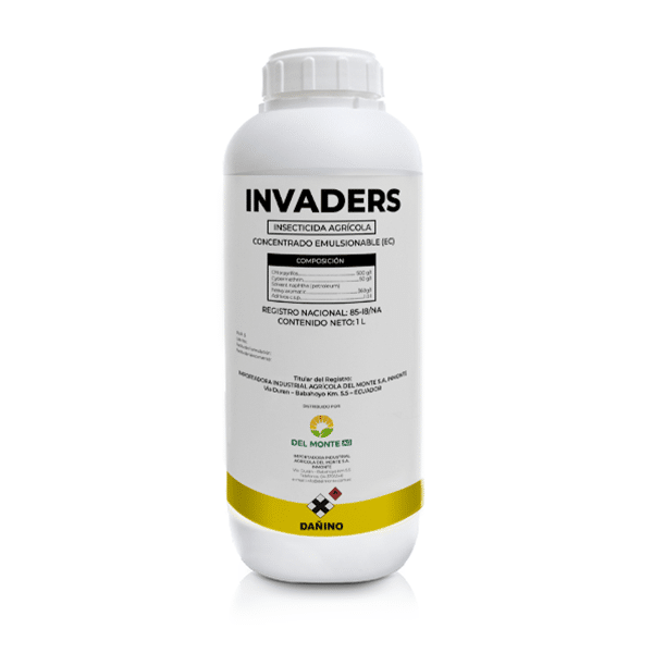 INVADERS