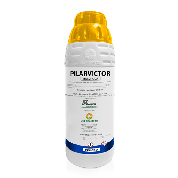 PILARVICTOR