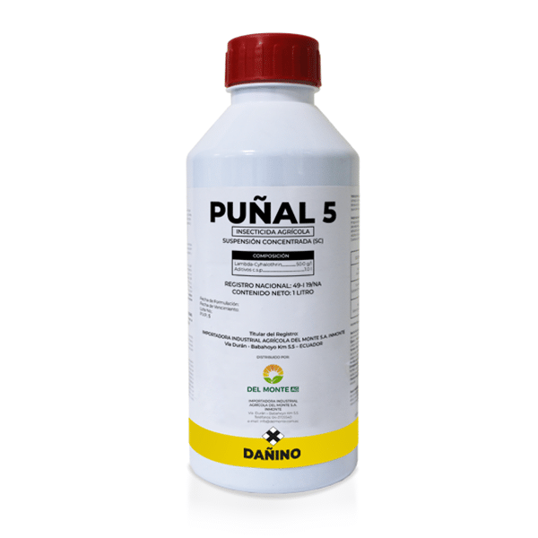 PUNAL